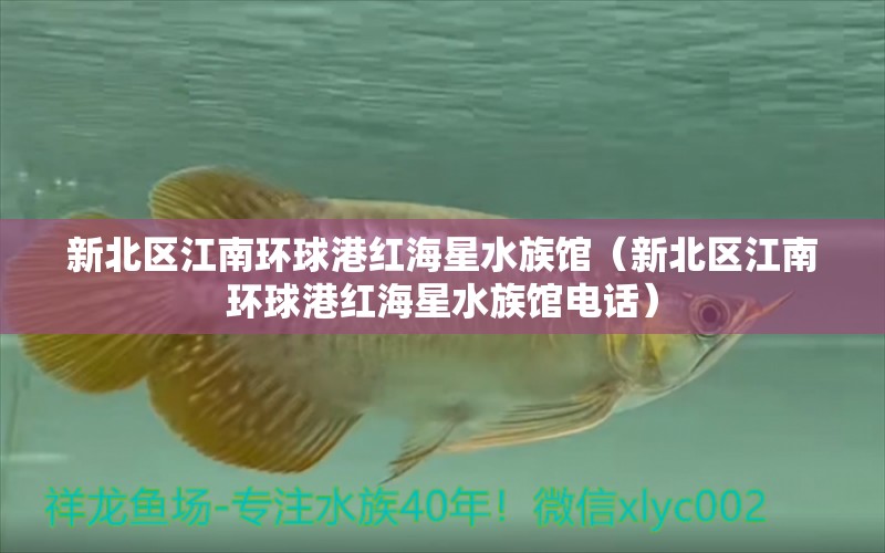 新北区江南环球港红海星水族馆（新北区江南环球港红海星水族馆电话） 全国水族馆企业名录