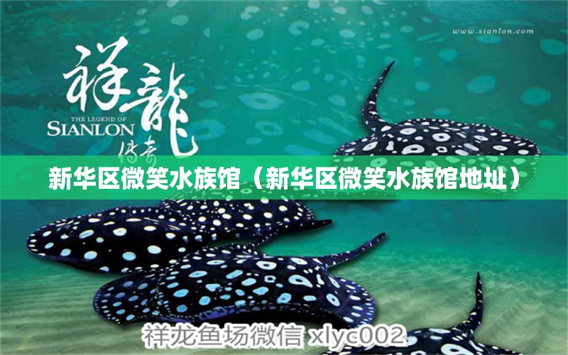 新华区微笑水族馆（新华区微笑水族馆地址）