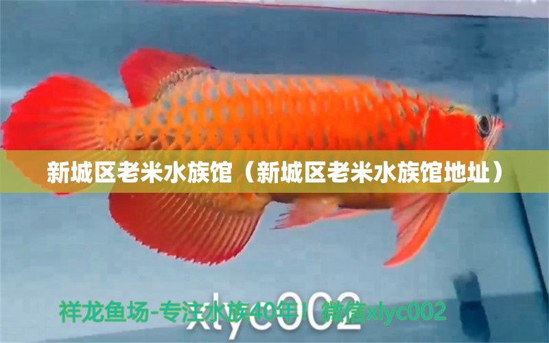 新城区老米水族馆（新城区老米水族馆地址）