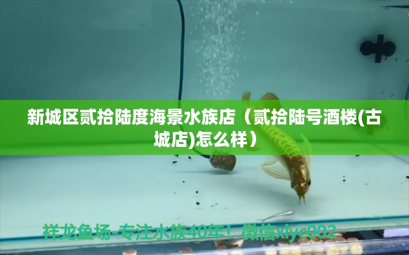 新城区贰拾陆度海景水族店（贰拾陆号酒楼(古城店)怎么样） 全国水族馆企业名录