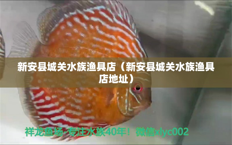 新安县城关水族渔具店（新安县城关水族渔具店地址）