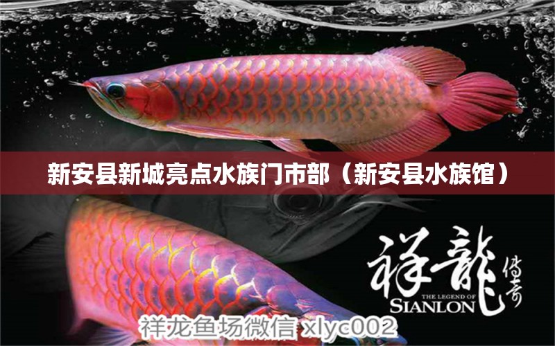 新安县新城亮点水族门市部（新安县水族馆）