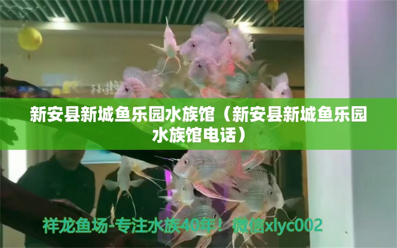 新安县新城鱼乐园水族馆（新安县新城鱼乐园水族馆电话） 全国水族馆企业名录