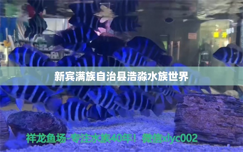 新宾满族自治县浩淼水族世界