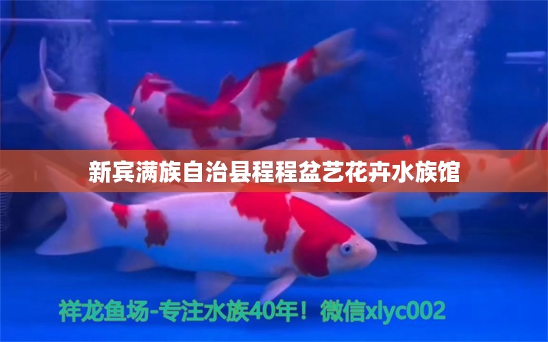 新宾满族自治县程程盆艺花卉水族馆