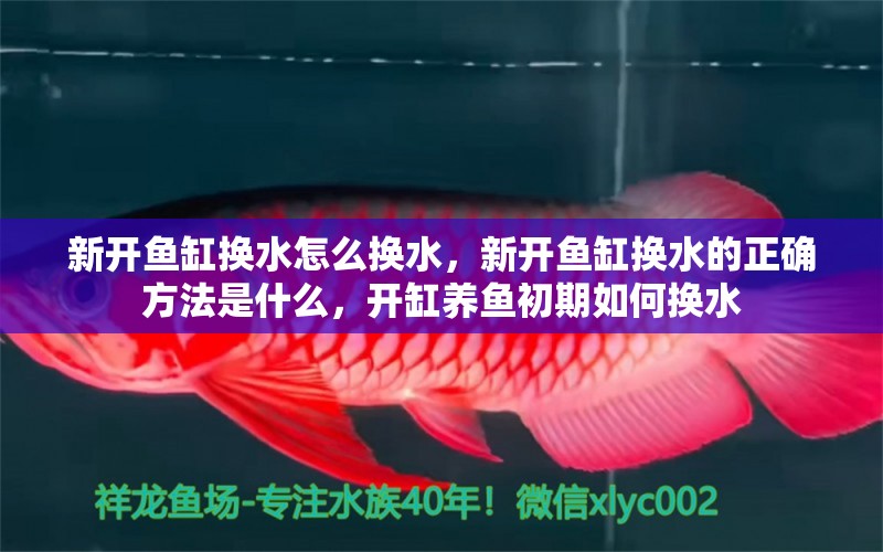 新开鱼缸换水怎么换水，新开鱼缸换水的正确方法是什么，开缸养鱼初期如何换水