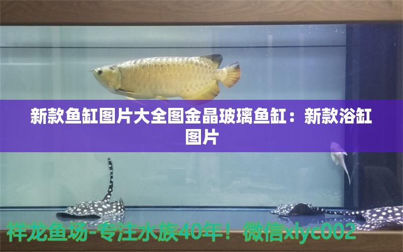 新款鱼缸图片大全图金晶玻璃鱼缸：新款浴缸图片