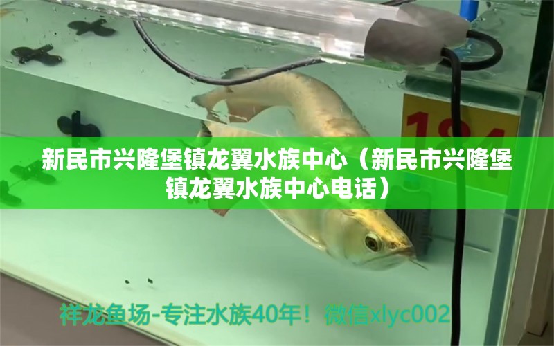 新民市兴隆堡镇龙翼水族中心（新民市兴隆堡镇龙翼水族中心电话）