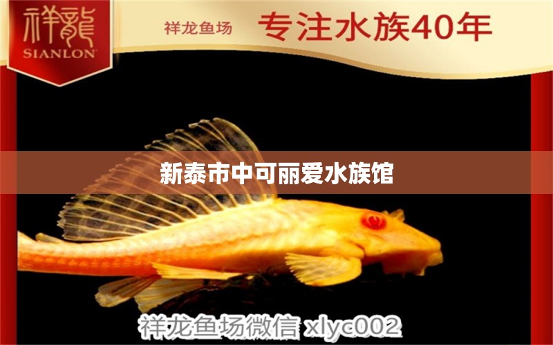 新泰市中可丽爱水族馆