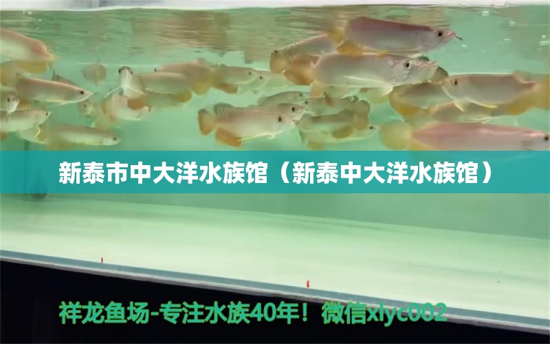 新泰市中大洋水族馆（新泰中大洋水族馆）