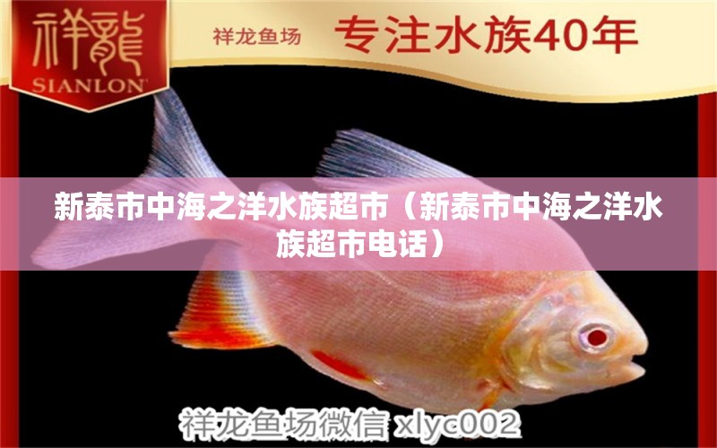 新泰市中海之洋水族超市（新泰市中海之洋水族超市电话）