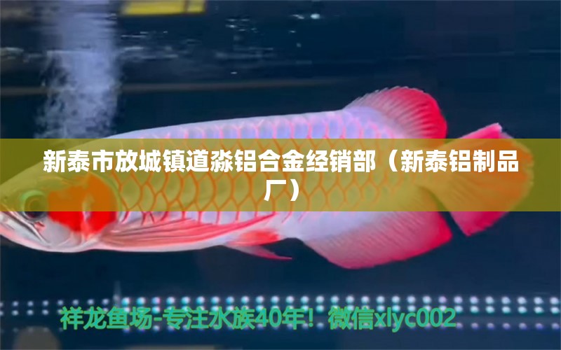 新泰市放城镇道淼铝合金经销部（新泰铝制品厂） 全国水族馆企业名录