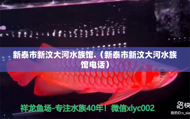 新泰市新汶大河水族馆.（新泰市新汶大河水族馆电话）