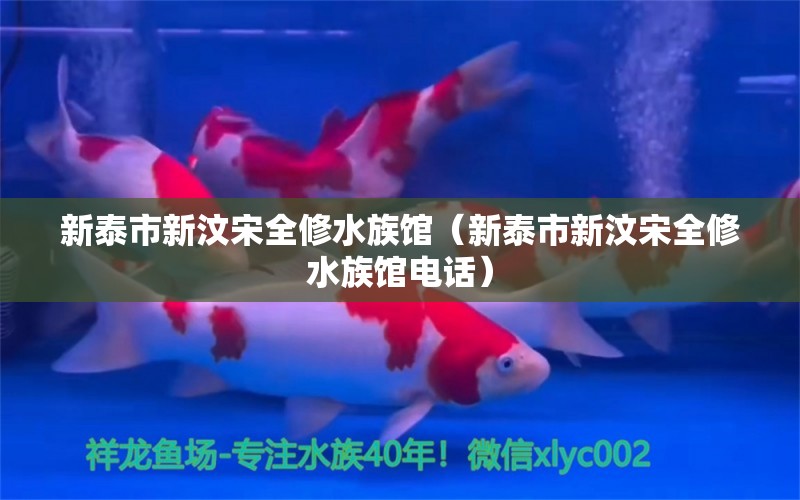 新泰市新汶宋全修水族馆（新泰市新汶宋全修水族馆电话）