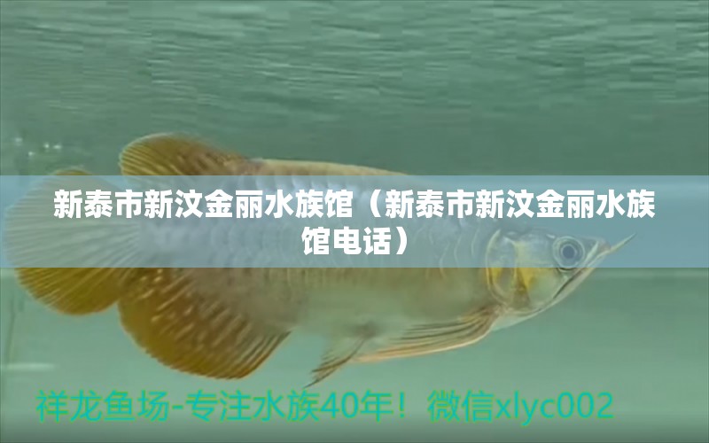 新泰市新汶金丽水族馆（新泰市新汶金丽水族馆电话）