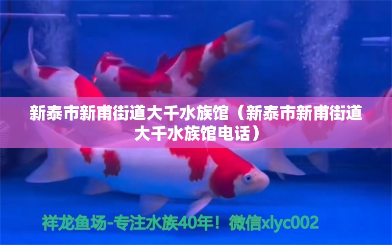 新泰市新甫街道大千水族馆（新泰市新甫街道大千水族馆电话）