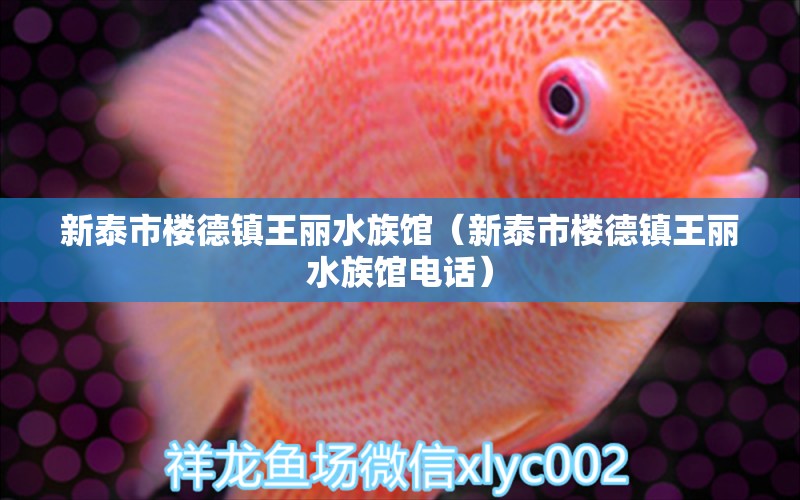 新泰市楼德镇王丽水族馆（新泰市楼德镇王丽水族馆电话）