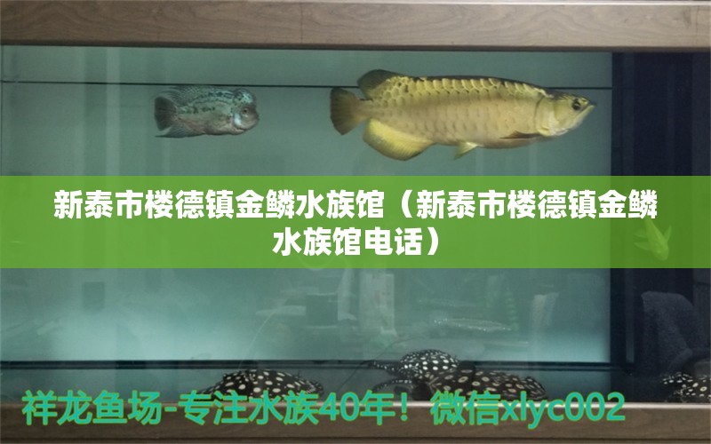 新泰市楼德镇金鳞水族馆（新泰市楼德镇金鳞水族馆电话） 全国水族馆企业名录