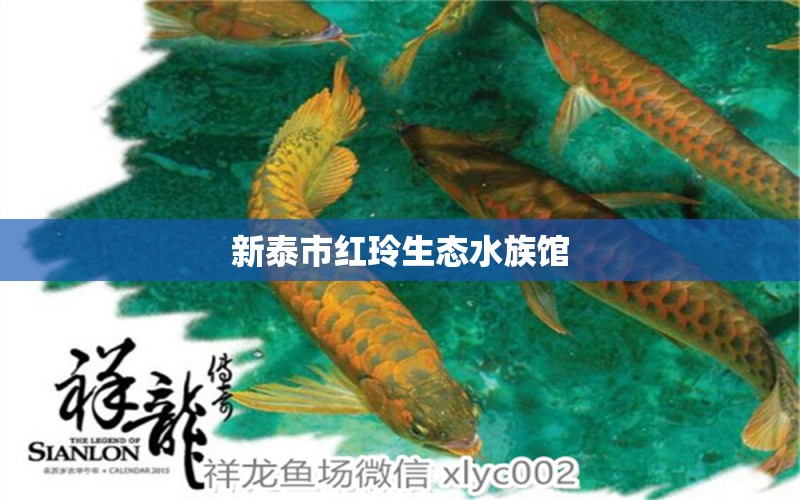 新泰市红玲生态水族馆 全国水族馆企业名录