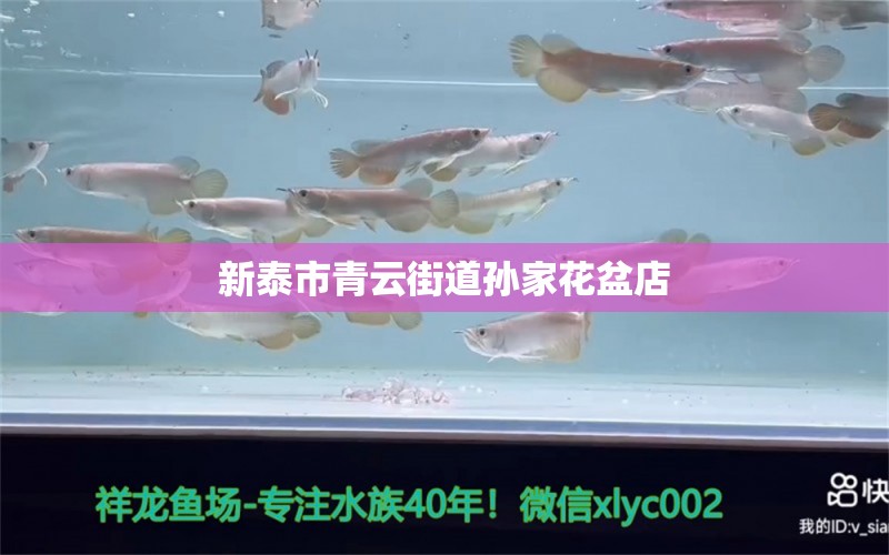 新泰市青云街道孙家花盆店 全国水族馆企业名录