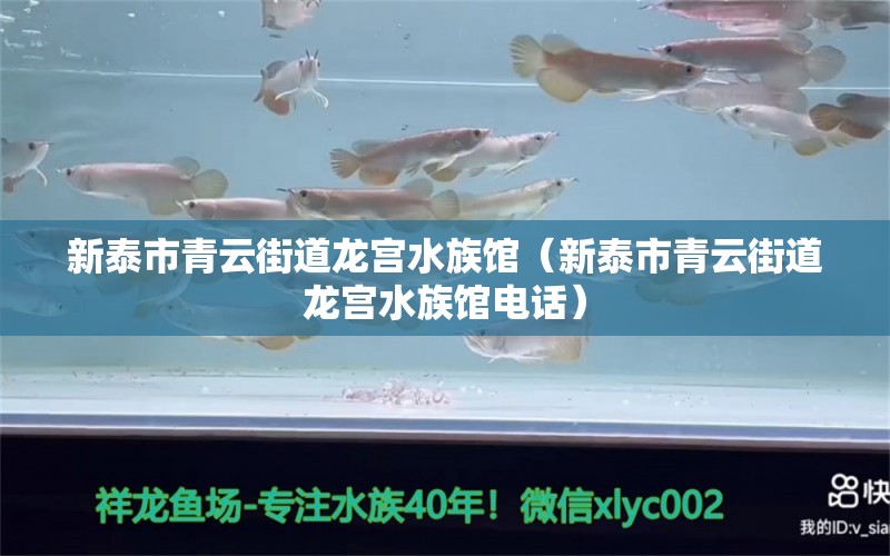 新泰市青云街道龙宫水族馆（新泰市青云街道龙宫水族馆电话）