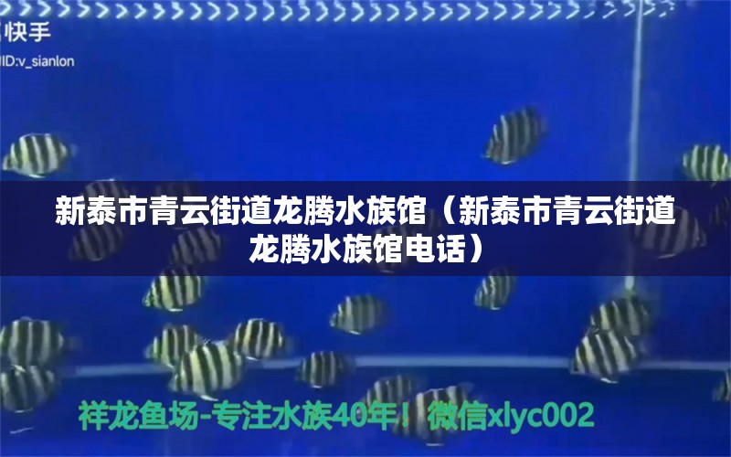 新泰市青云街道龙腾水族馆（新泰市青云街道龙腾水族馆电话） 全国水族馆企业名录