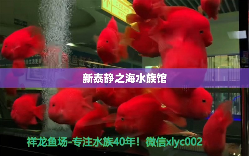 新泰静之海水族馆 全国水族馆企业名录