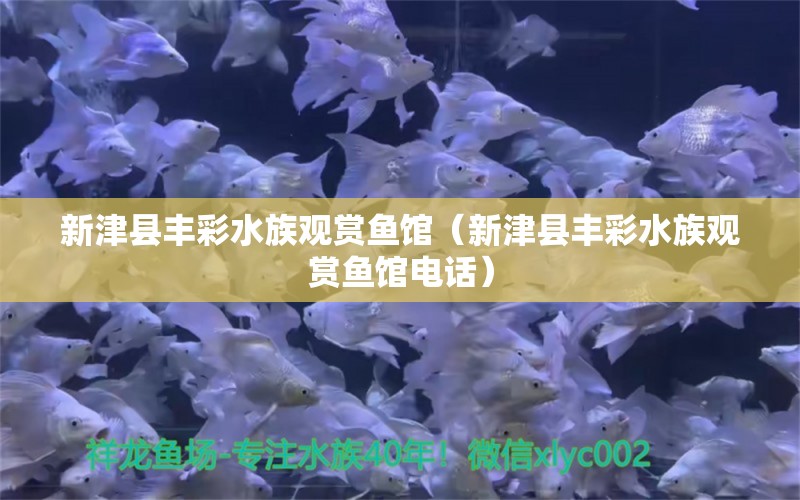 新津县丰彩水族观赏鱼馆（新津县丰彩水族观赏鱼馆电话）