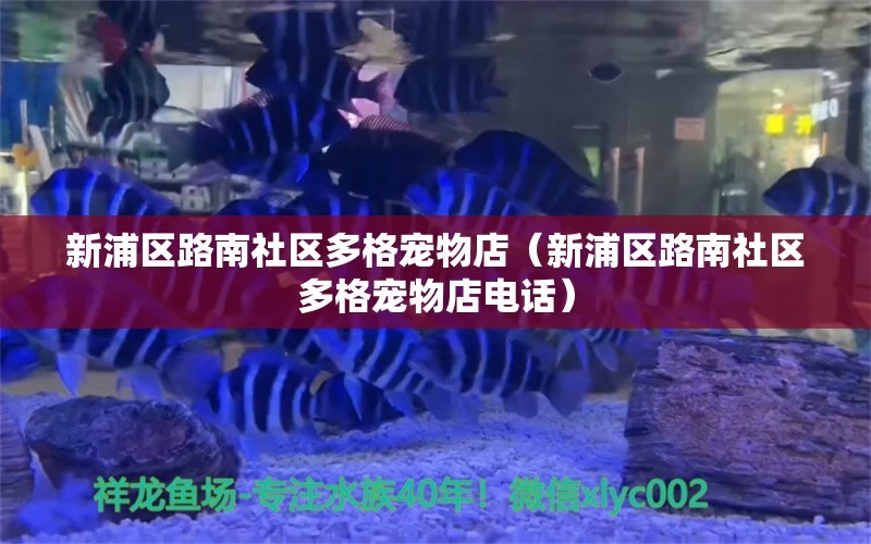 新浦区路南社区多格宠物店（新浦区路南社区多格宠物店电话） 全国水族馆企业名录