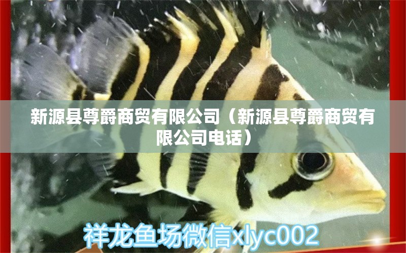 新源县尊爵商贸有限公司（新源县尊爵商贸有限公司电话） 全国水族馆企业名录