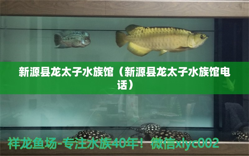 新源县龙太子水族馆（新源县龙太子水族馆电话）