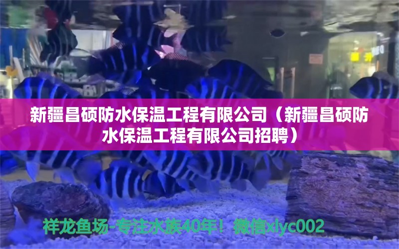 新疆昌硕防水保温工程有限公司（新疆昌硕防水保温工程有限公司招聘）