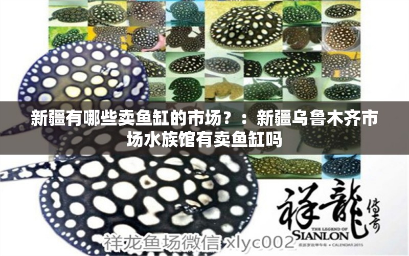 新疆有哪些卖鱼缸的市场？：新疆乌鲁木齐市场水族馆有卖鱼缸吗 鱼缸百科 第2张