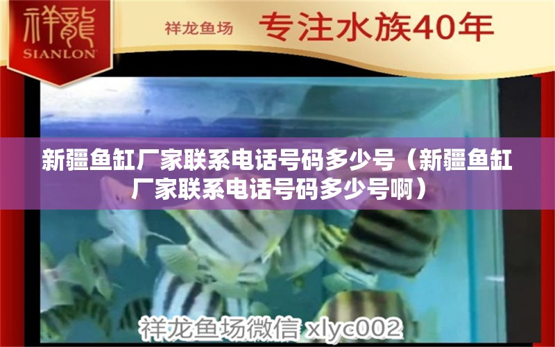 新疆鱼缸厂家联系电话号码多少号（新疆鱼缸厂家联系电话号码多少号啊）