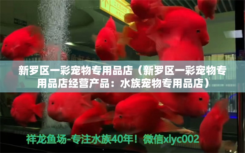 新罗区一彩宠物专用品店（新罗区一彩宠物专用品店经营产品：水族宠物专用品店） 全国观赏鱼市场 第2张