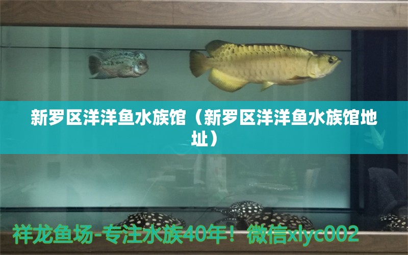 新罗区洋洋鱼水族馆（新罗区洋洋鱼水族馆地址） 全国水族馆企业名录