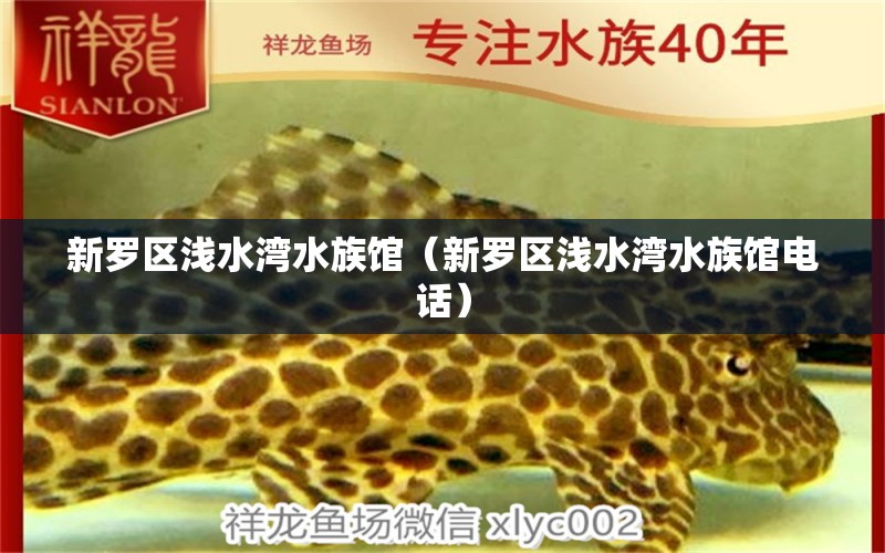 新罗区浅水湾水族馆（新罗区浅水湾水族馆电话） 全国水族馆企业名录