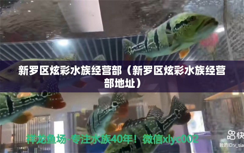 新罗区炫彩水族经营部（新罗区炫彩水族经营部地址） 全国水族馆企业名录