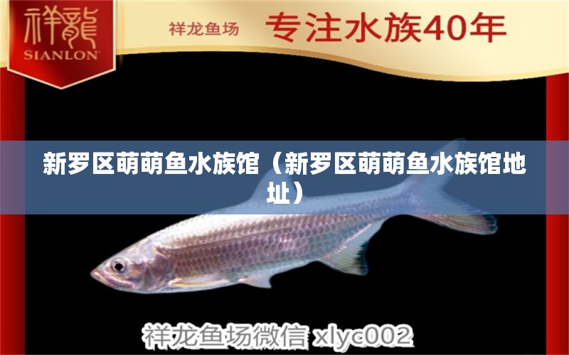 新罗区萌萌鱼水族馆（新罗区萌萌鱼水族馆地址）