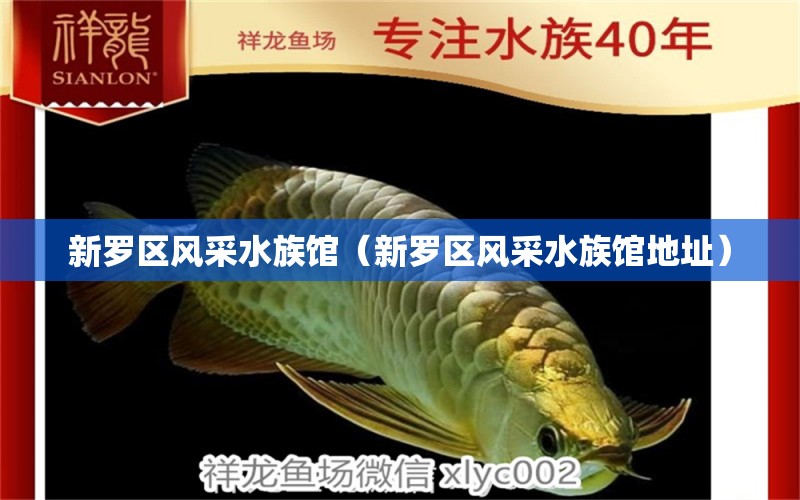 新罗区风采水族馆（新罗区风采水族馆地址）