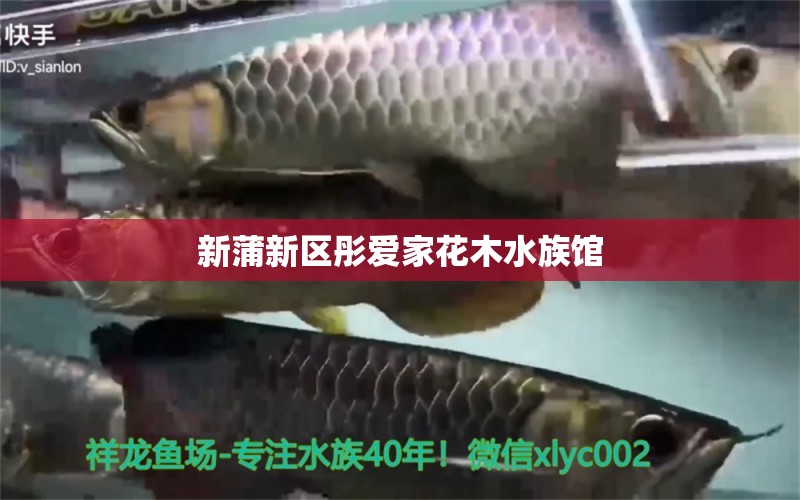 新蒲新区彤爱家花木水族馆 全国水族馆企业名录