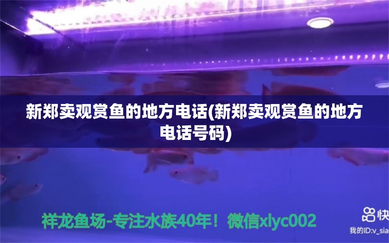 新郑卖观赏鱼的地方电话(新郑卖观赏鱼的地方电话号码) 龙鱼专用灯