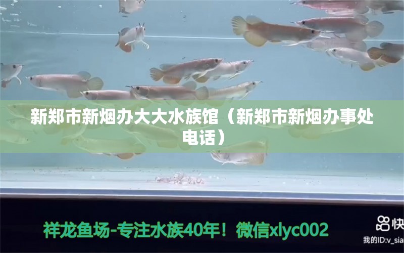 新郑市新烟办大大水族馆（新郑市新烟办事处电话）