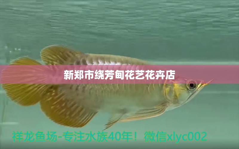 新郑市绕芳甸花艺花卉店 全国水族馆企业名录