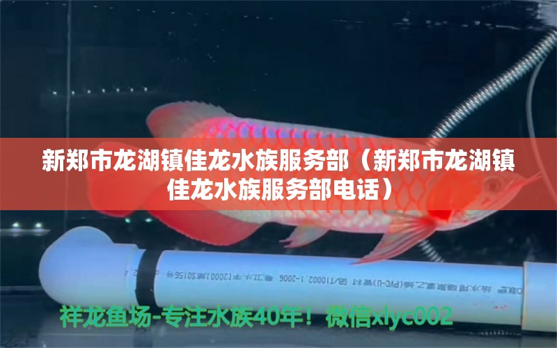 新郑市龙湖镇佳龙水族服务部（新郑市龙湖镇佳龙水族服务部电话）