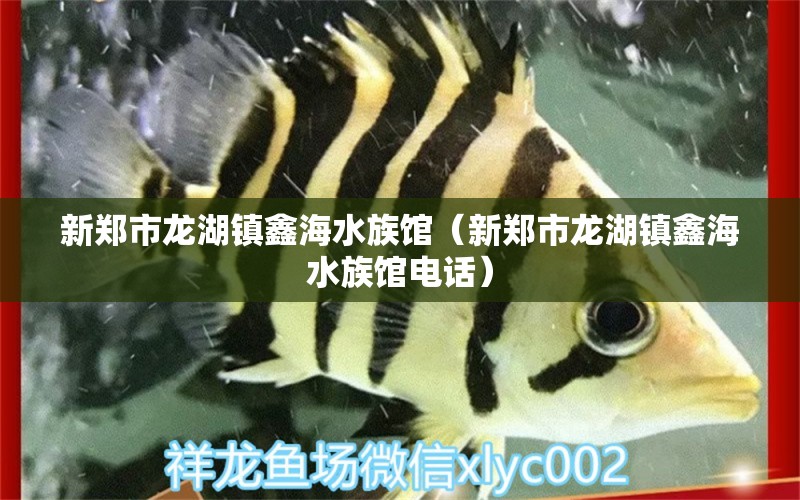 新郑市龙湖镇鑫海水族馆（新郑市龙湖镇鑫海水族馆电话）