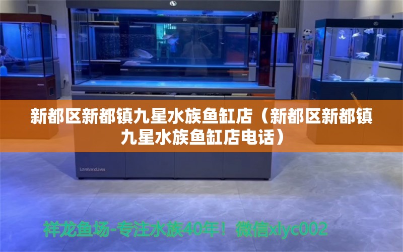 新都区新都镇九星水族鱼缸店（新都区新都镇九星水族鱼缸店电话）