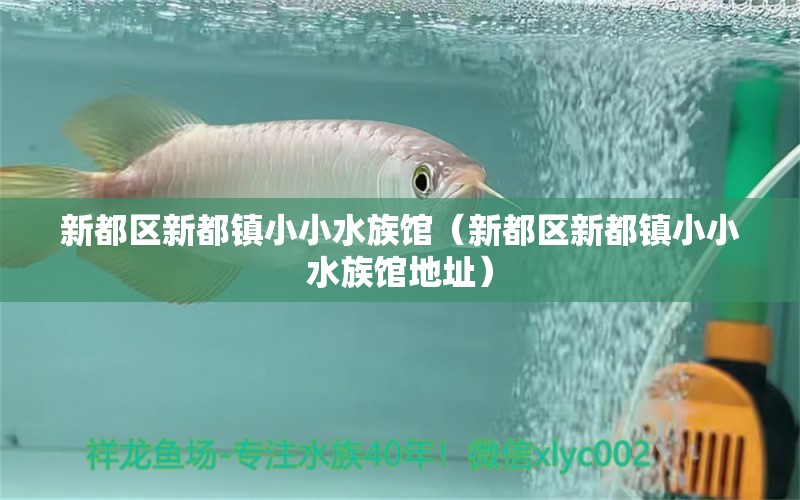 新都区新都镇小小水族馆（新都区新都镇小小水族馆地址）