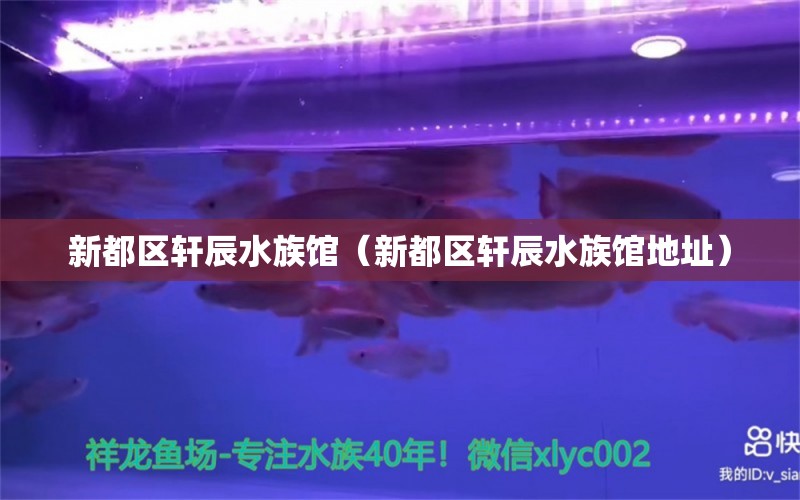 新都区轩辰水族馆（新都区轩辰水族馆地址）