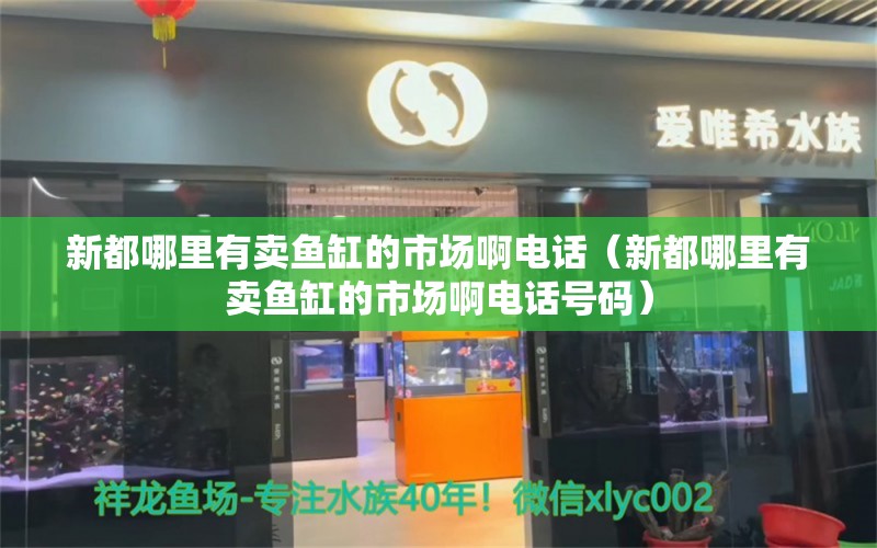 新都哪里有卖鱼缸的市场啊电话（新都哪里有卖鱼缸的市场啊电话号码）